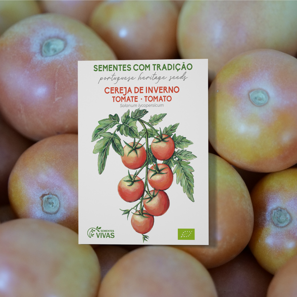 Tomate Cereja de Inverno