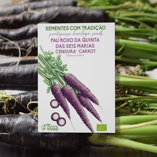 Cenoura Pau Roxo das Seis Marias