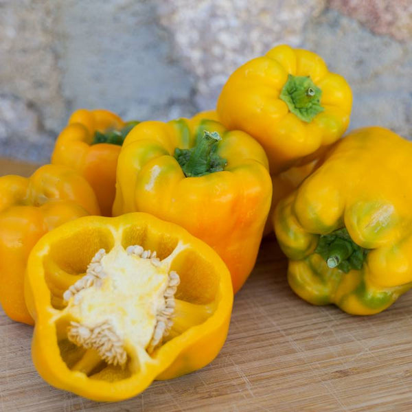 Pimento Quadrato d´Asti Giallo