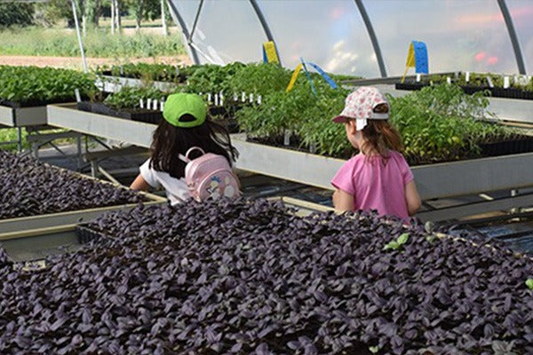 Horta para Crianças