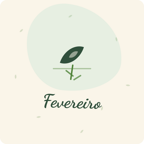 Sementeira em Fevereiro