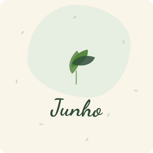 Sementeira em Junho