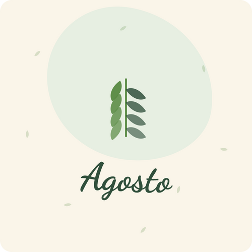 Sementeira em Agosto
