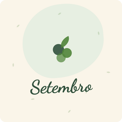 Sementeira em Setembro