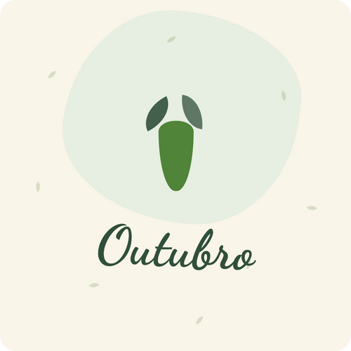 Sementeira em Outubro