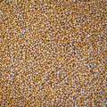 Mostarda para adubação verde 1Kg