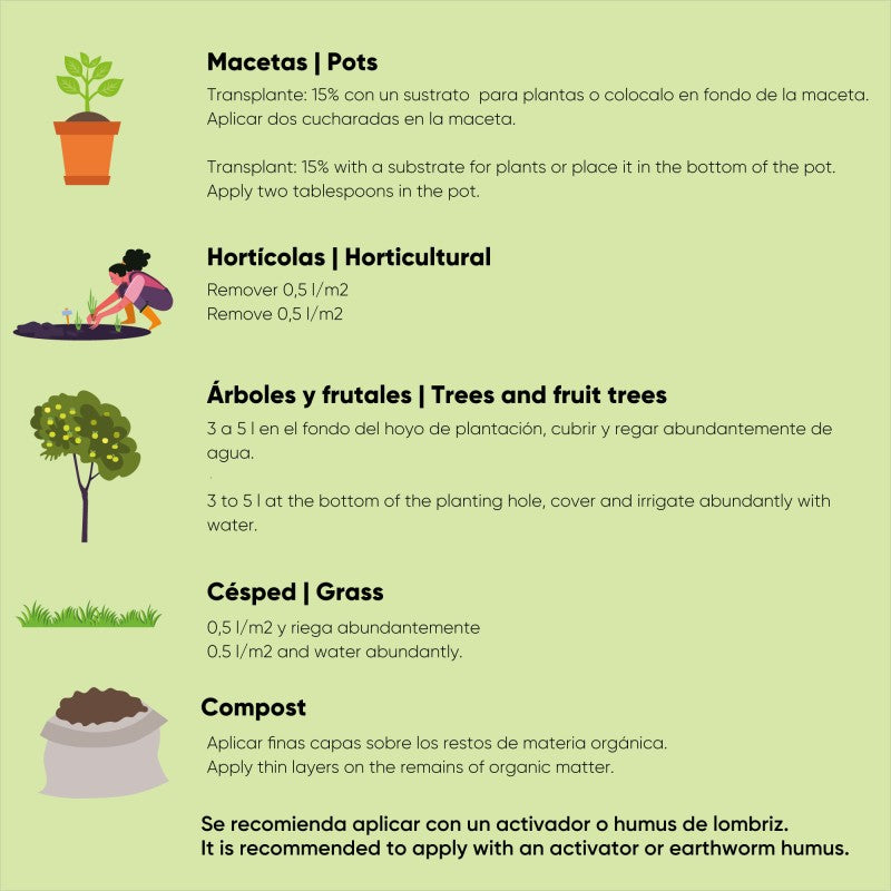 Biochar Carvão Vegetal
