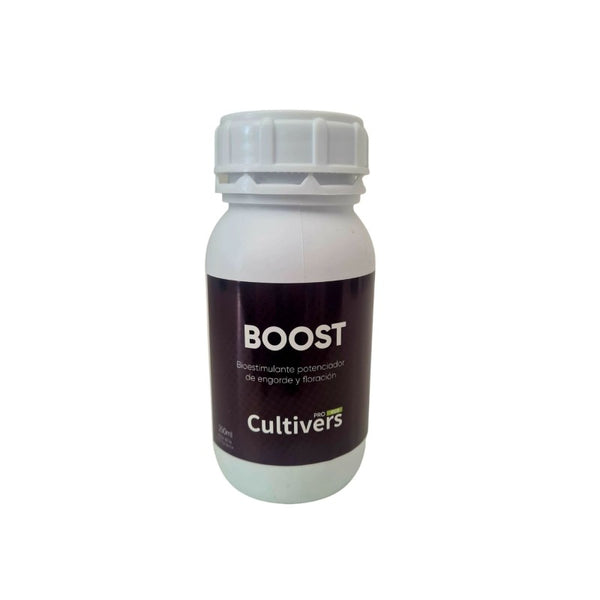 Boost