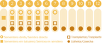 Cebolinho Commune