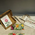 Kit 'Rosa Albardeira'
