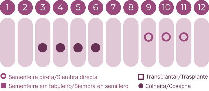 Tremocilha