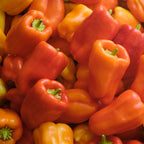 Pimento Albaregia