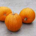 Abóbora Jack O'lantern