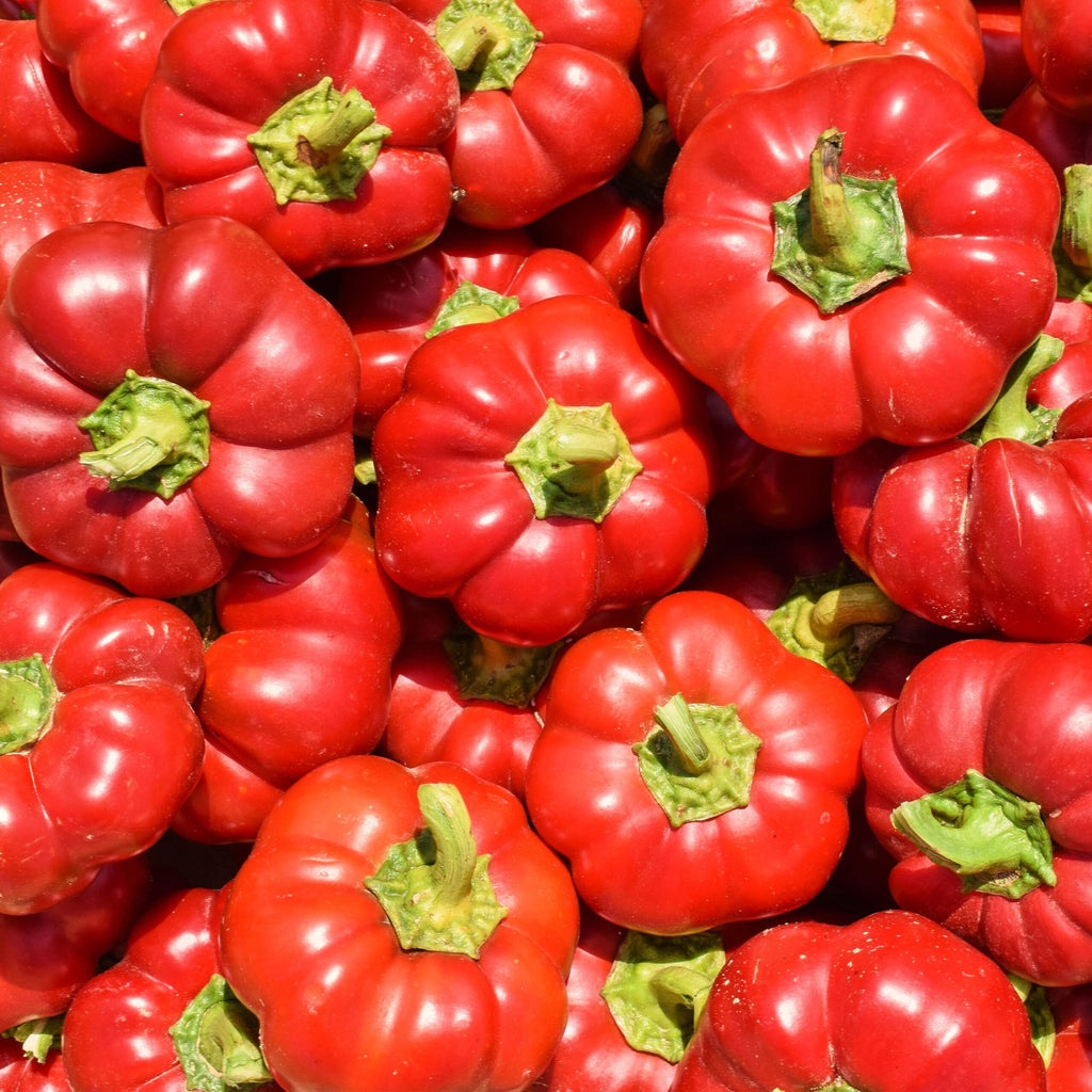 Pimento de Sabugal