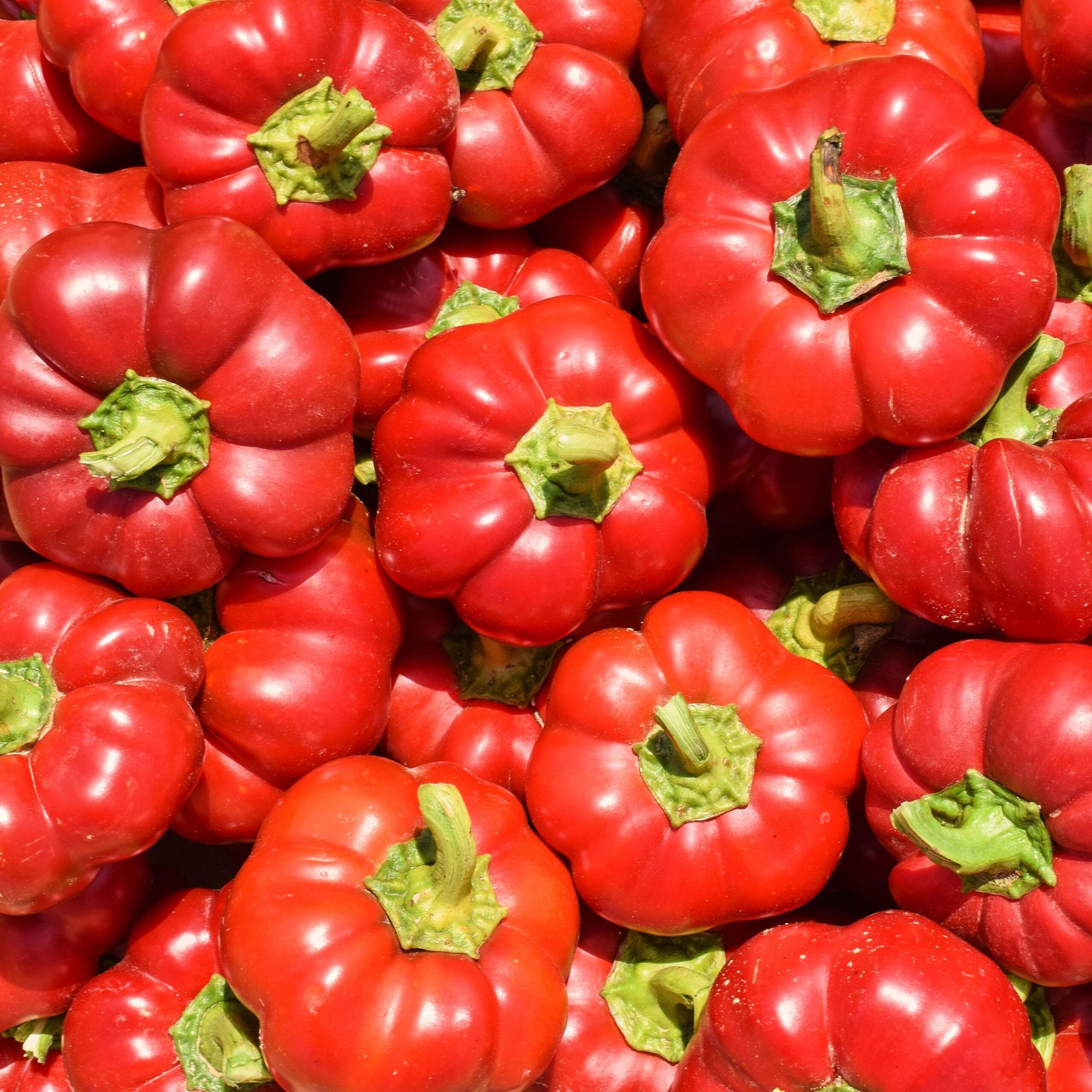 Pimento de Sabugal