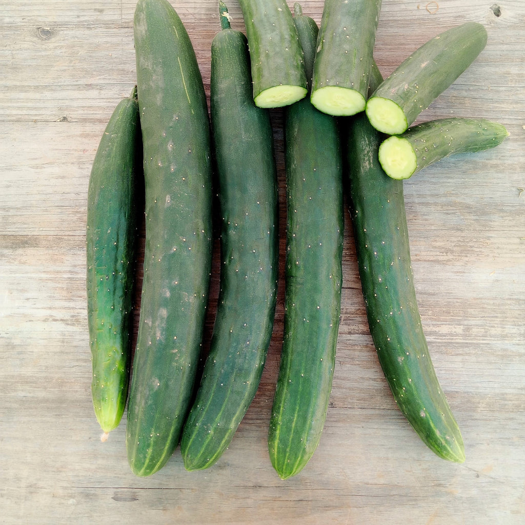 Pepino Arola