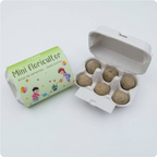 Mini Floricultor - Bombas de Sementes