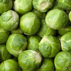 Couve de Bruxelas Groninger
