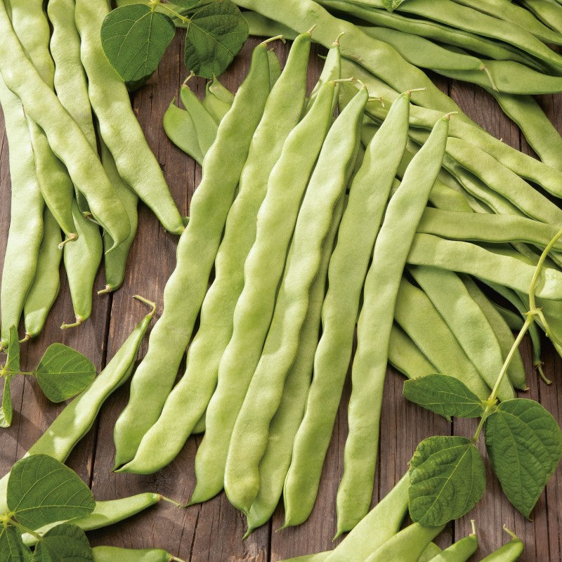 Feijao Verde Helda