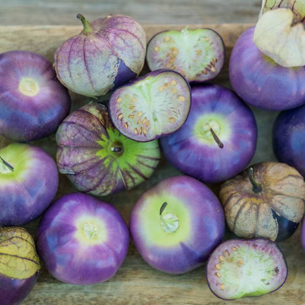 Tomatilho roxo