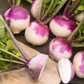 Nabo Di Milano a Colletto Viola