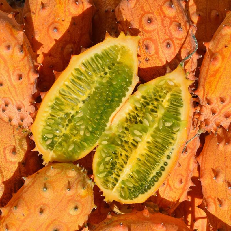 Pepino Kiwano