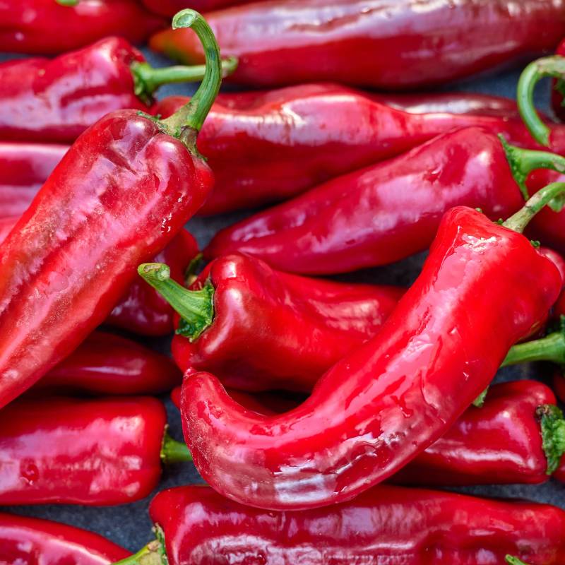 Pimento Corno di Toro Rosso