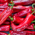 Pimento Corno di Toro Rosso