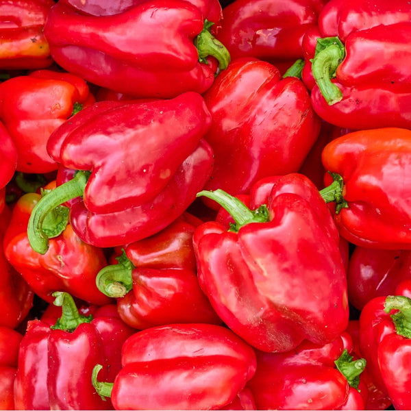 Pimento Quadrato d´Asti rosso