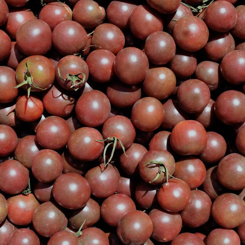 Tomate Black Cherry