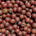 Tomate Black Cherry