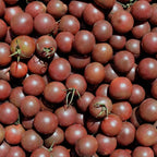 Tomate Black Cherry
