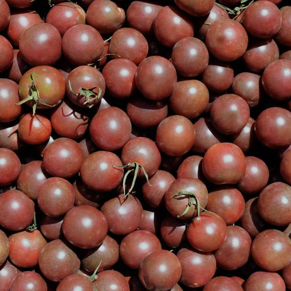 Tomate Black Cherry