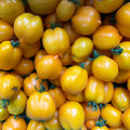 Tomate Citrina