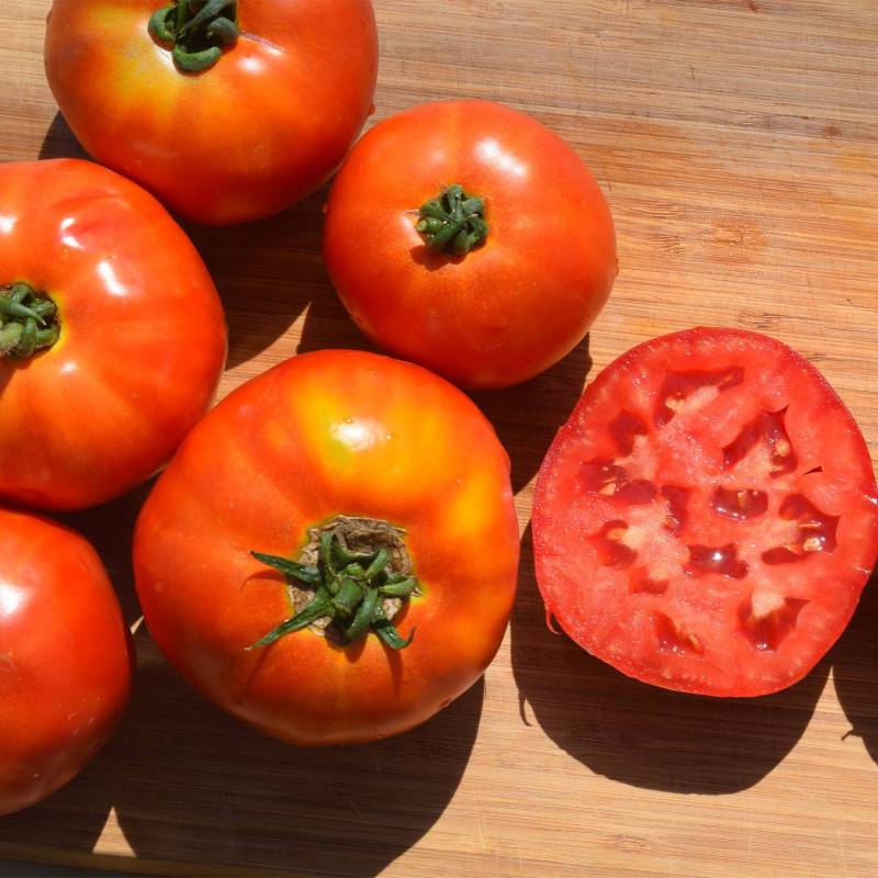 Tomate da Campina