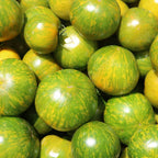 Tomate Green Zebra