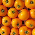 Tomate La Carotina