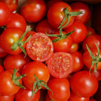 Tomate Miel du Mexique