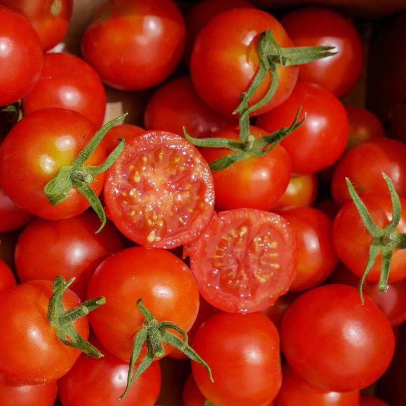Tomate Miel du Mexique