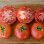Tomate Moneymaker