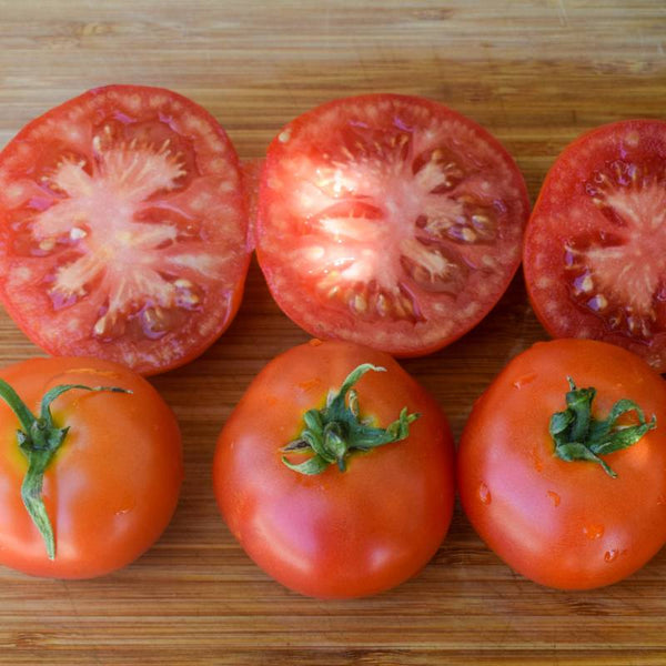 Tomate Moneymaker