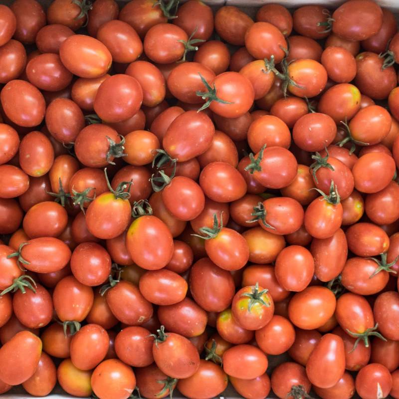 Tomate Principe Borghese