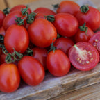 Tomate Principe Borghese