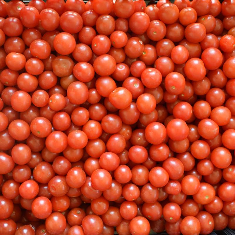 Tomate Red Cherry