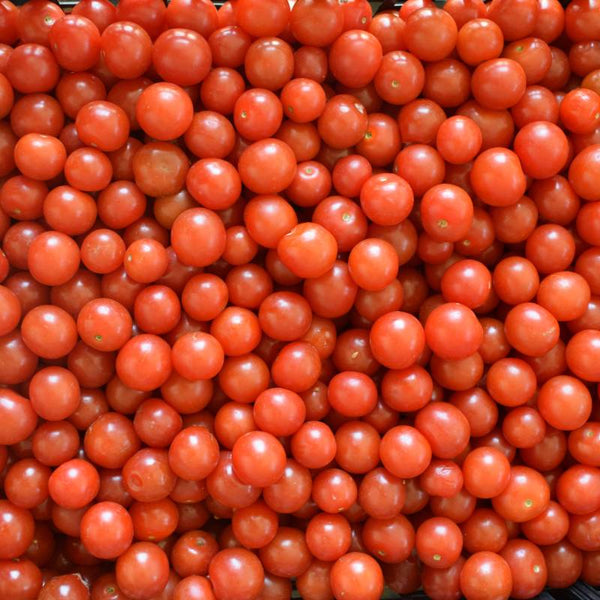 Tomate Red Cherry