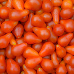 Tomate Red pear