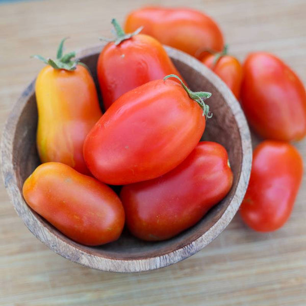 Tomate Roma VF