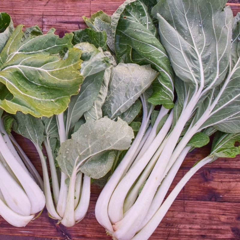 Verdura asiática Pak-Choi