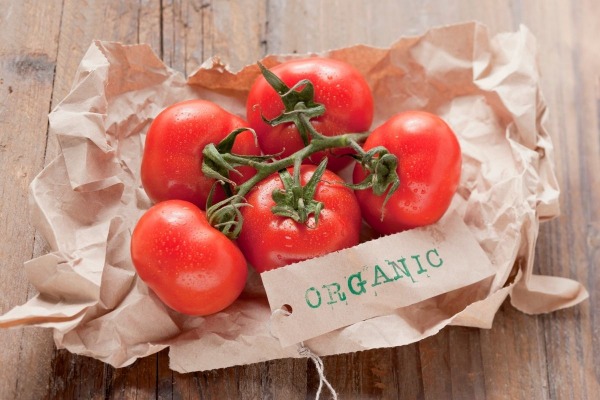 Como cultivar tomate orgânico? 